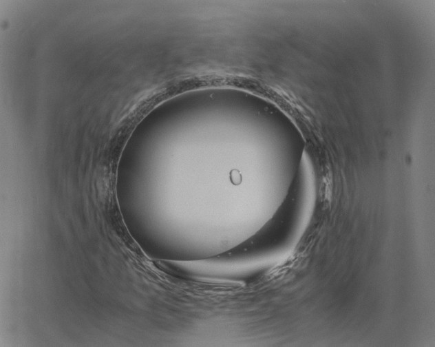 X0000063461157200601271557