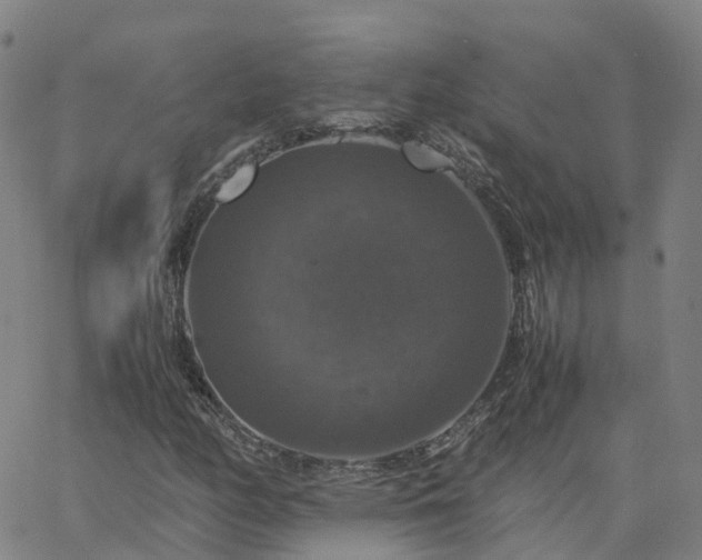 X0000063461158200601271557