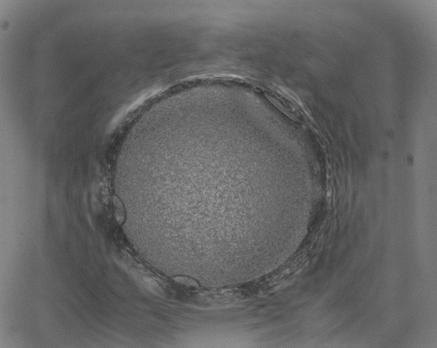 X0000063461159200601271557