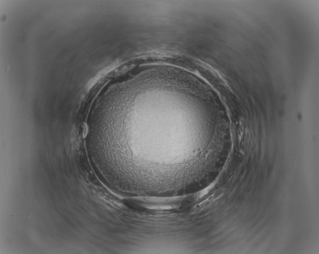 X0000063461160200601271557