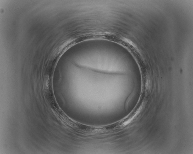 X0000063461161200601271557