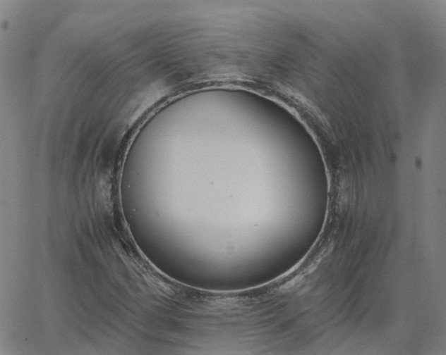 X0000063461162200601271557