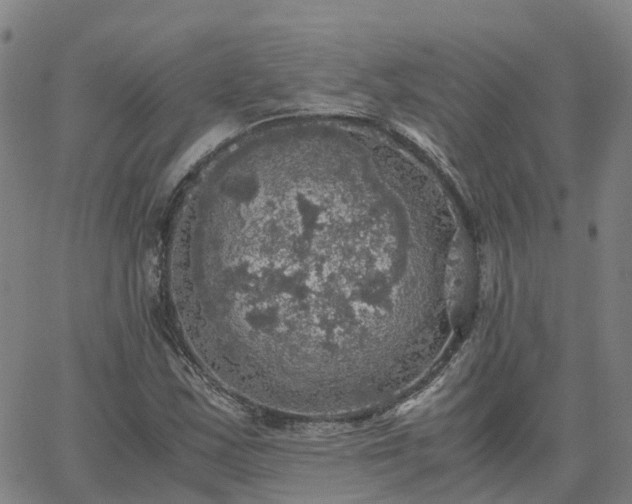 X0000063461163200601271557