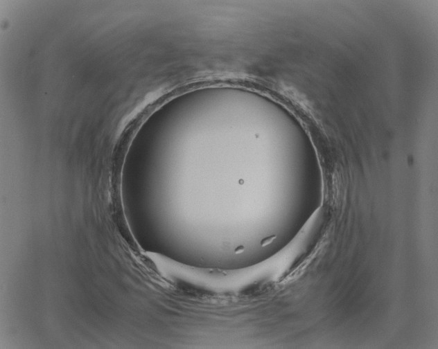 X0000063461165200601271557