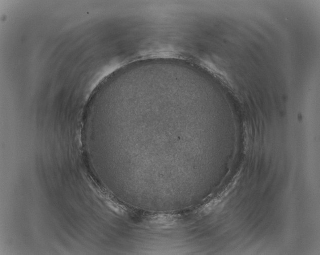 X0000063461166200601271557