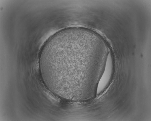 X0000063461167200601271557