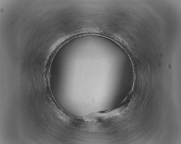 X0000063461168200601271557