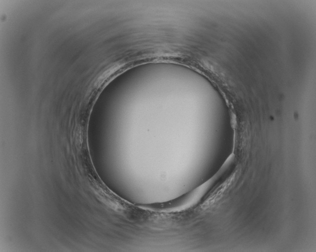 X0000063461169200601271557