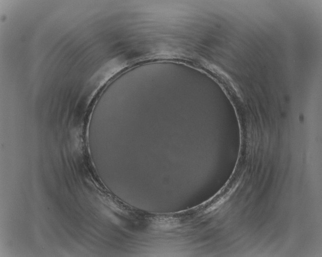 X0000063461170200601271557