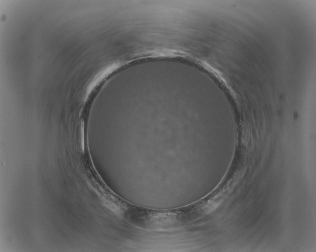 X0000063461171200601271557