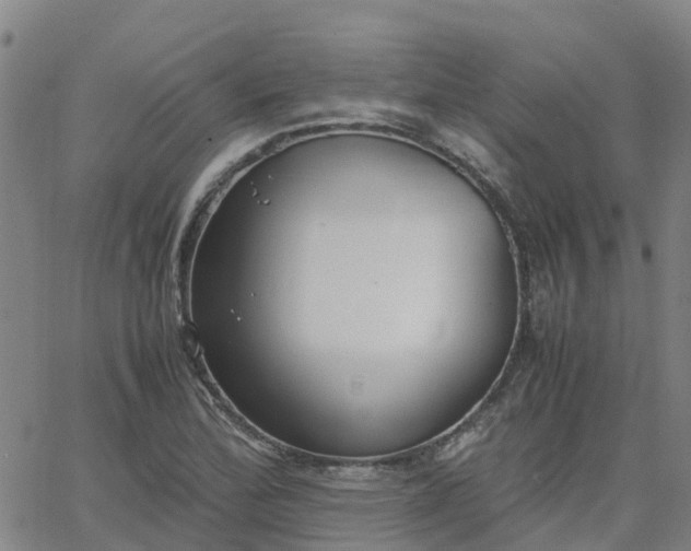 X0000063461172200601271557