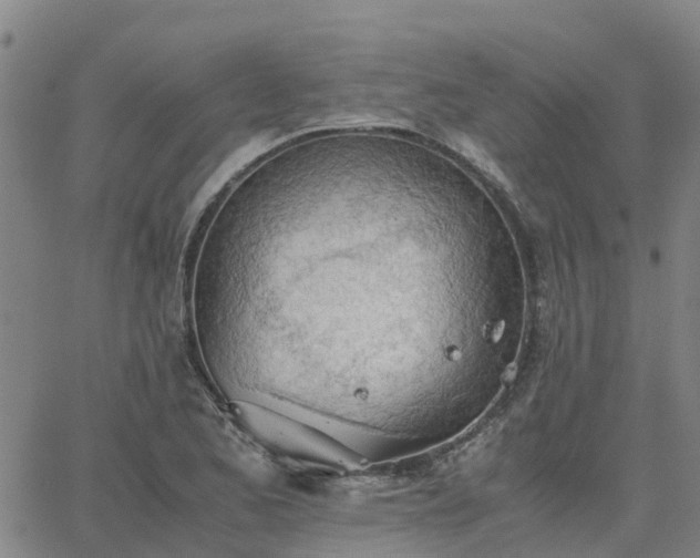 X0000063461173200601271557