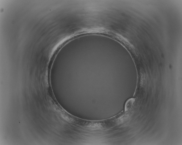 X0000063461174200601271557