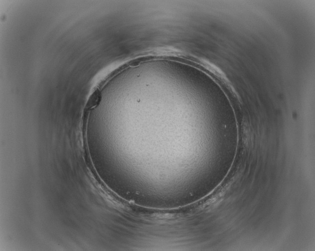 X0000063461176200601271557