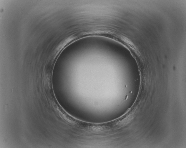 X0000063461177200601271557