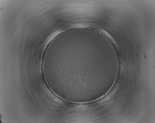 X0000063461178200601271557