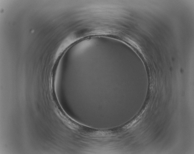 X0000063461179200601271557