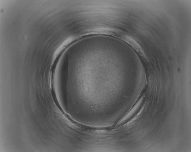 X0000063461180200601271557