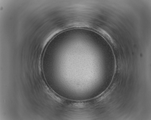 X0000063461182200601271556