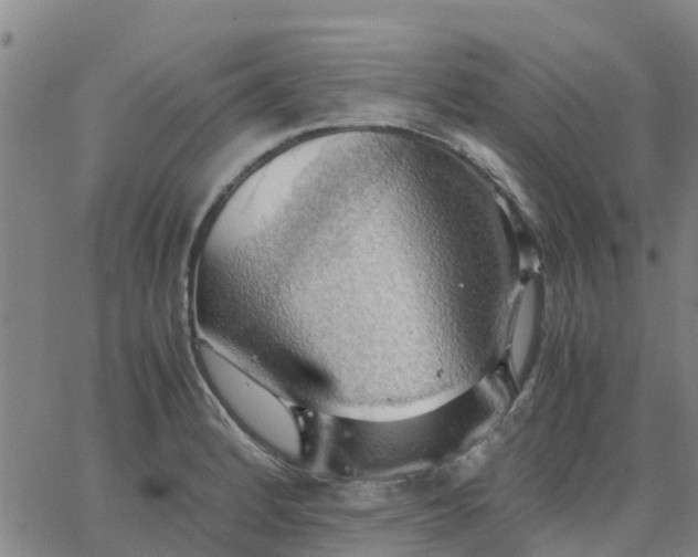 X0000063461184200601271556