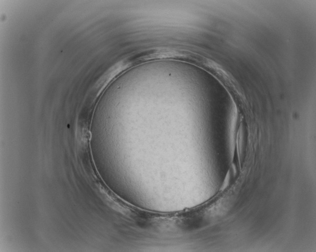 X0000063461185200601271556