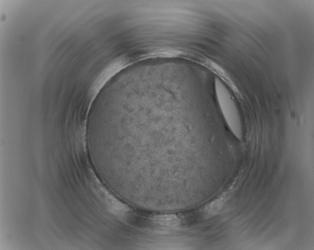 X0000063461186200601271556