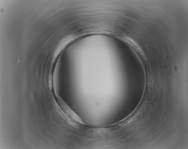 X0000063461188200601271556