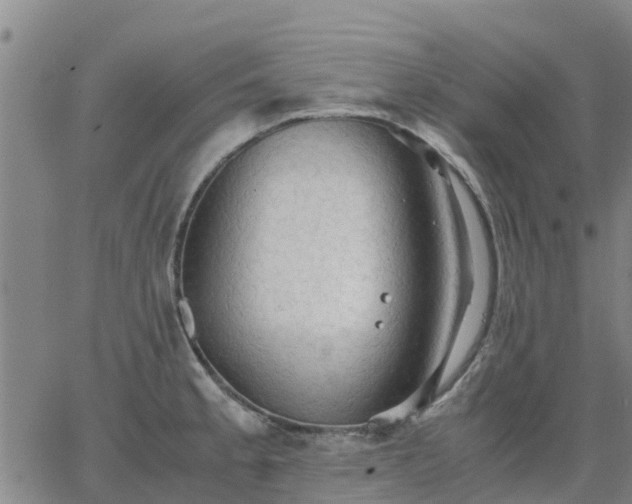 X0000063461189200601271556