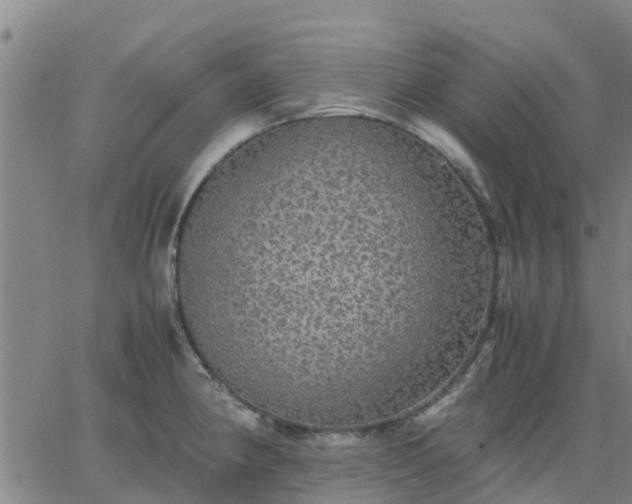 X0000063461190200601271556