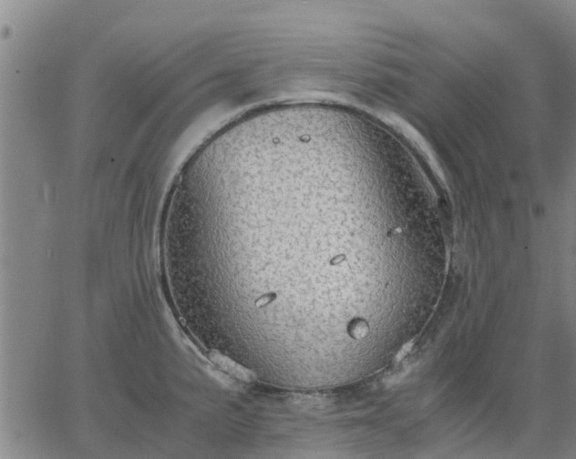 X0000063461191200601271556