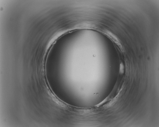 X0000063461192200601271556