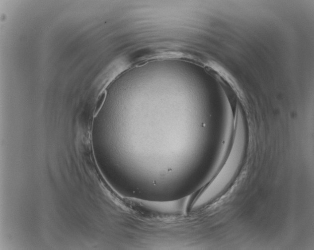 X0000063461193200601271556