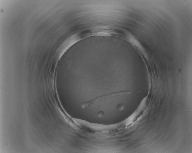 X0000063461194200601271556