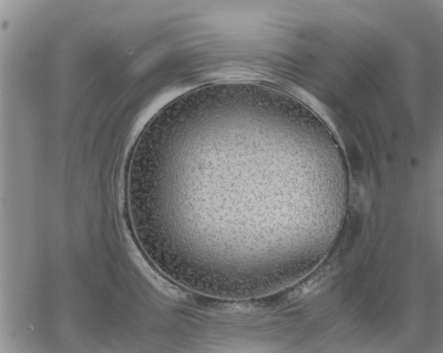 X0000063461195200601271556