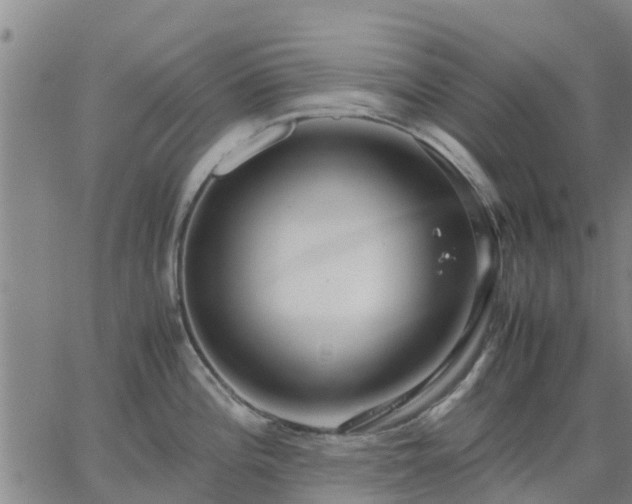 X0000063461196200601271556