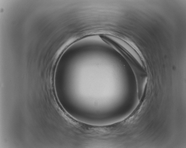 X0000063461197200601271556