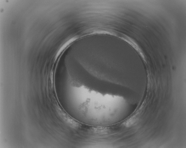 X0000063461198200601271556