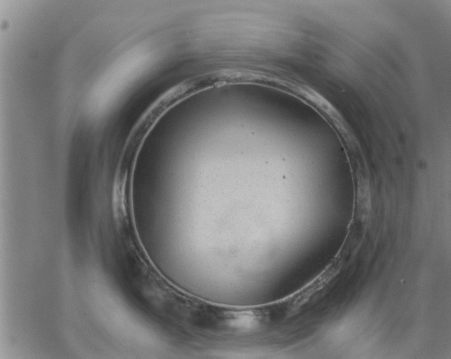 X0000063461199200601271556