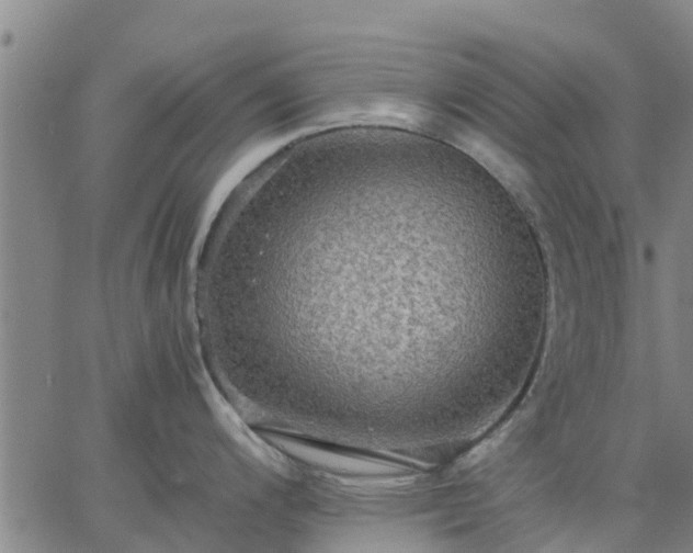 X0000063461200200601271556