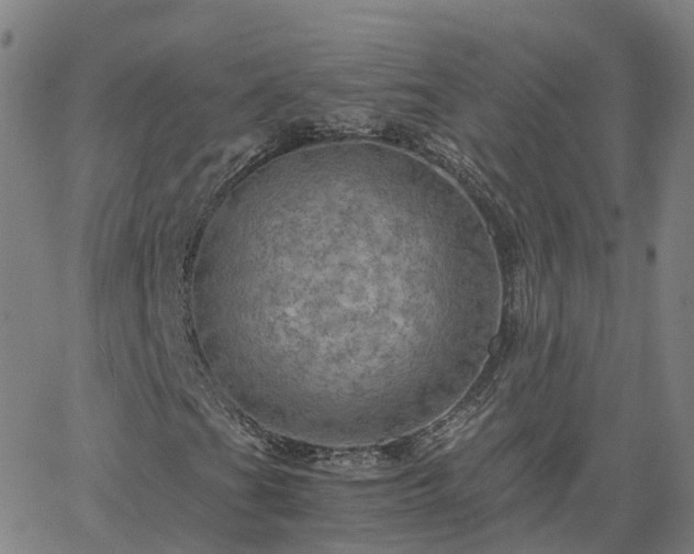 X0000063461201200601271555