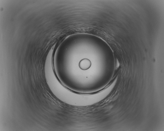 X0000063461202200601271555