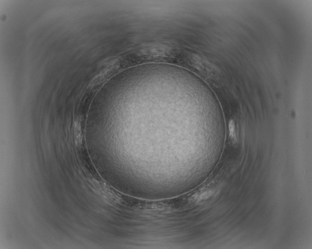 X0000063461203200601271555