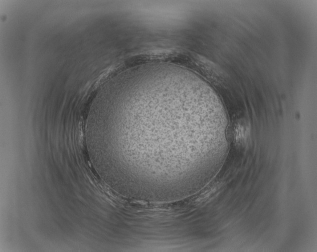 X0000063461204200601271555