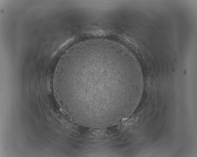 X0000063461205200601271555