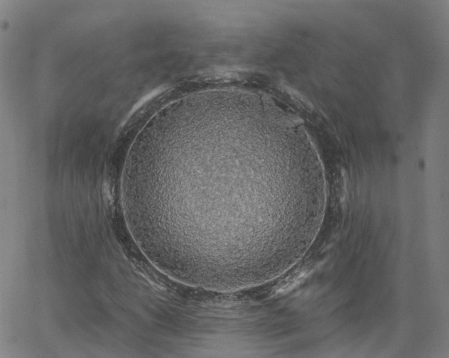 X0000063461206200601271555