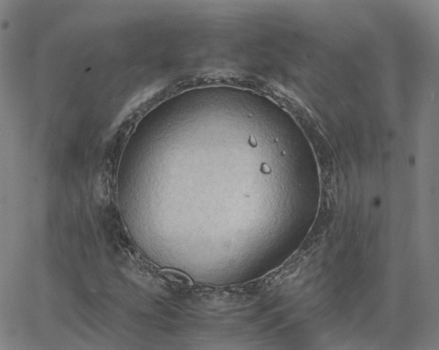 X0000063461207200601271555