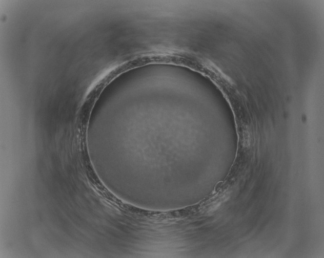 X0000063461208200601271556