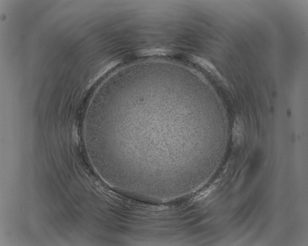 X0000063461209200601271556