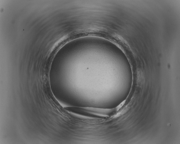 X0000063461210200601271556