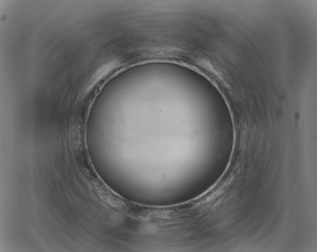 X0000063461211200601271556